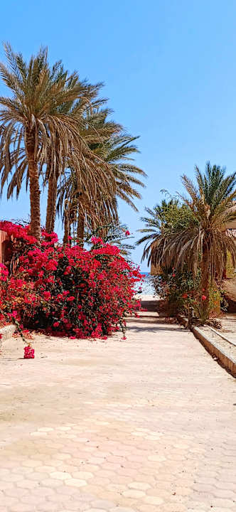 Gartenanlage Protels Crystal Beach Resort