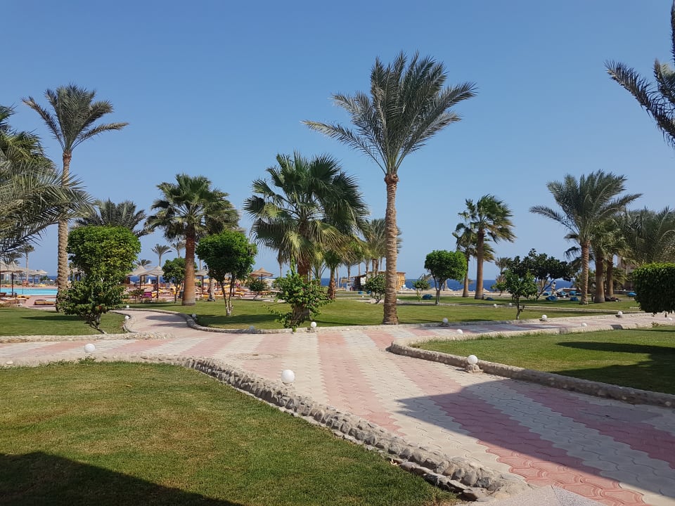 Gartenanlage Three Corners Sea Beach Resort