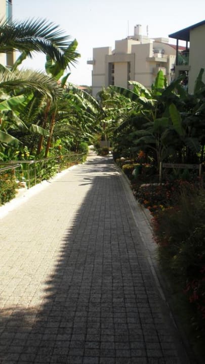 Aska Hotel Buket Resort & Spa Sealife Buket Resort & Beach