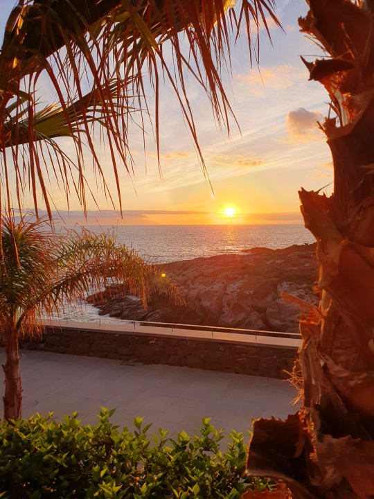 Ausblick Hotel Riu Buenavista