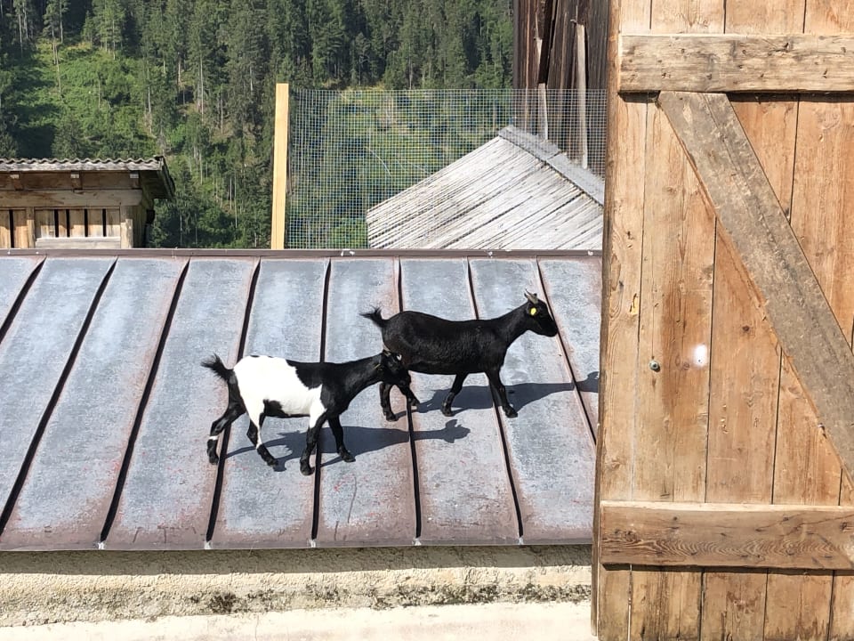 Ausblick Bella Vista Hotel Emma