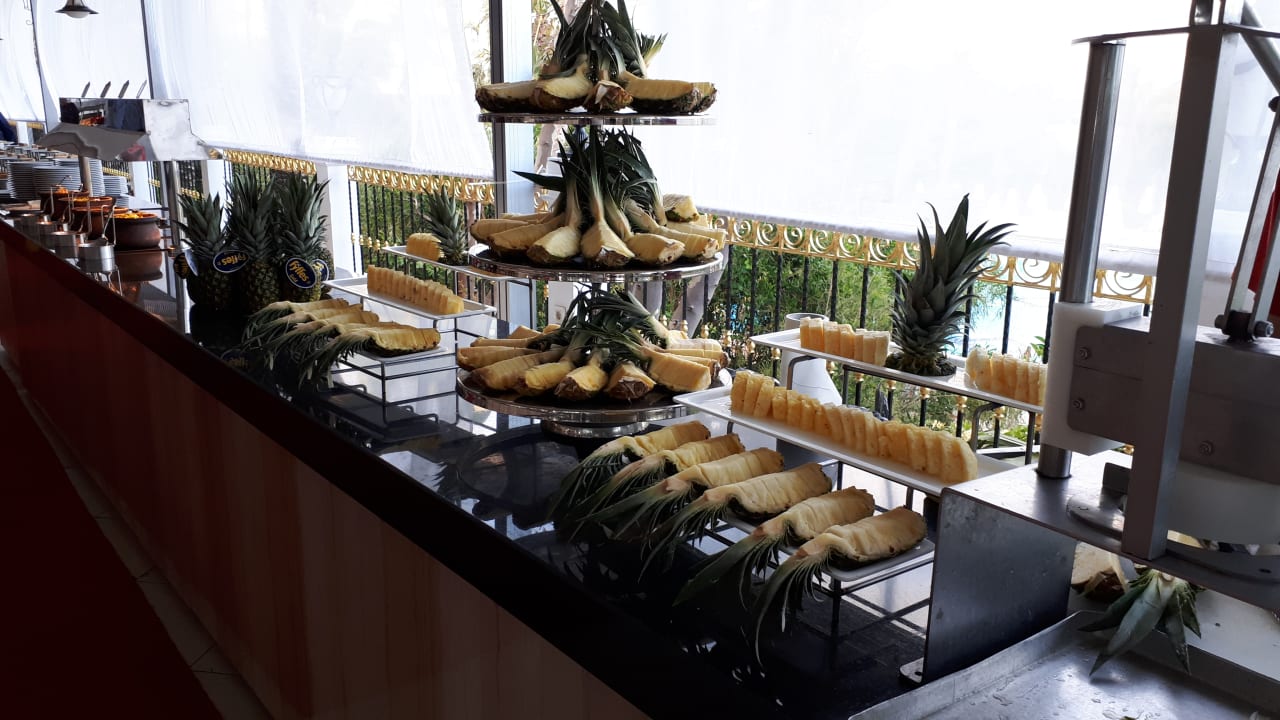 Gastro Hotel Delphin Diva