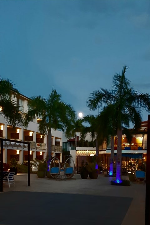 Lobby Catalonia Royal La Romana - Adults only