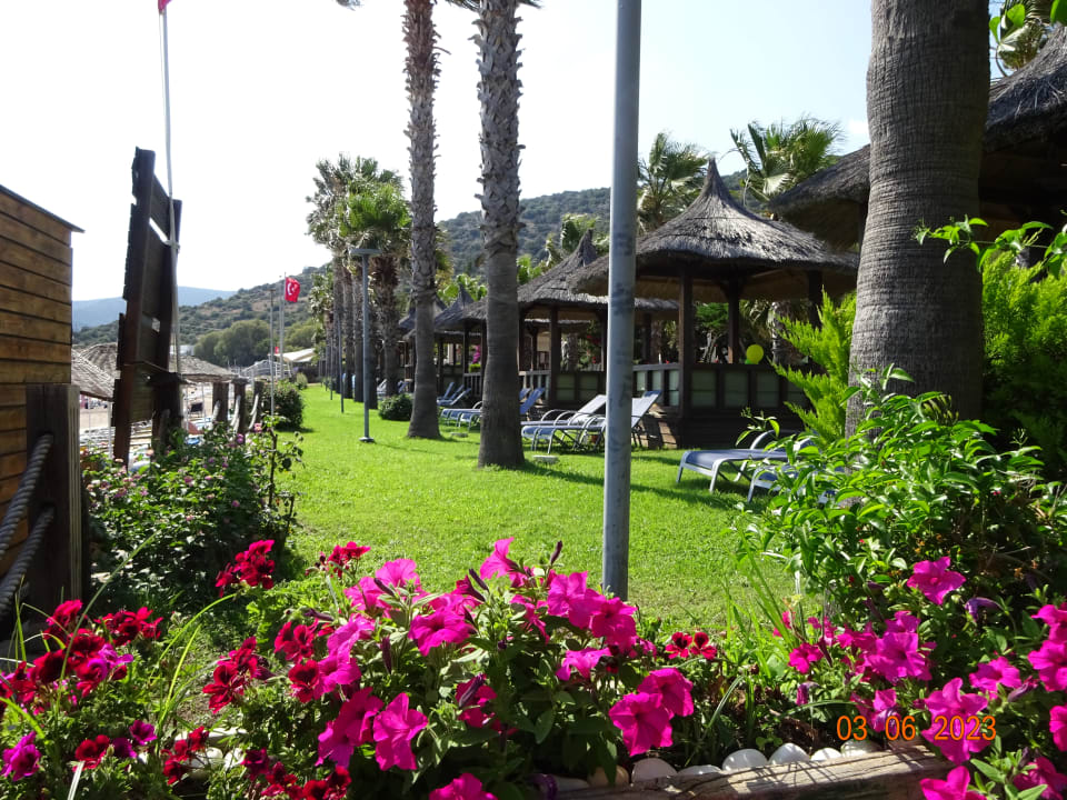 Gartenanlage Latanya Park Resort