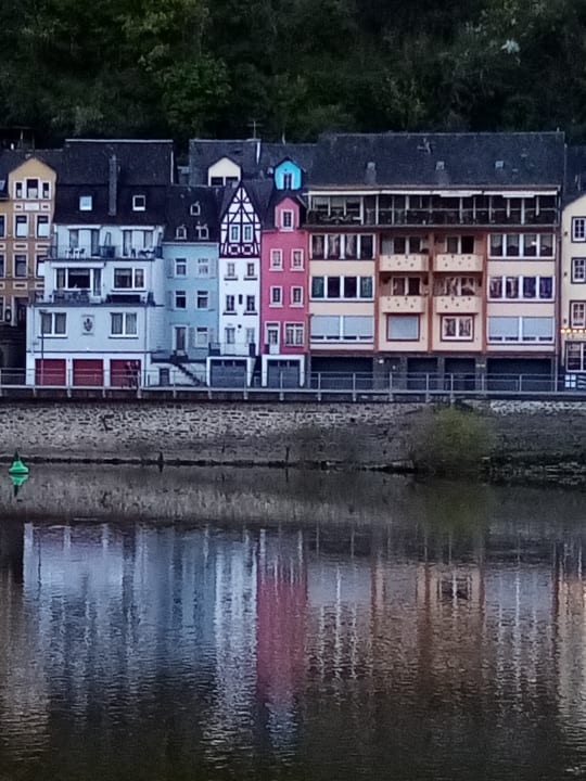 Ausblick Moselstern Hotel Brixiade & Triton