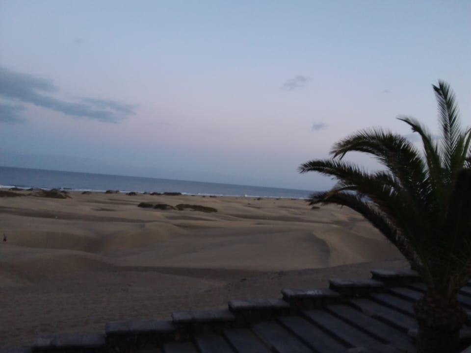 Ausblick Hotel Riu Palace Palmeras