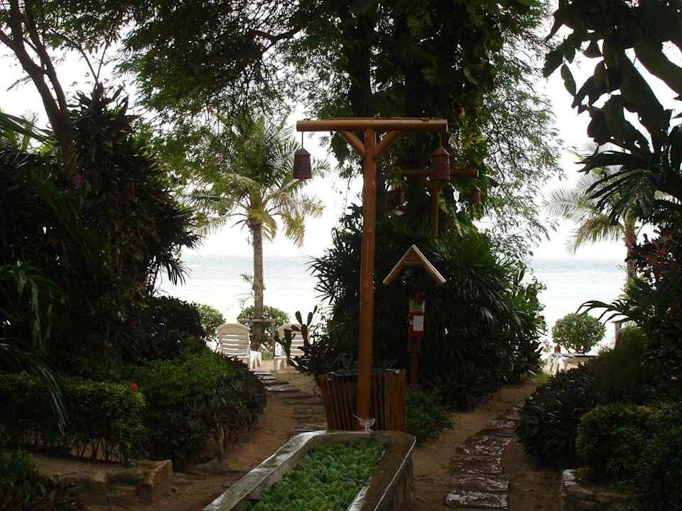 Blick vom Bungalow aufs Meer Hotel Koh Tao Resort