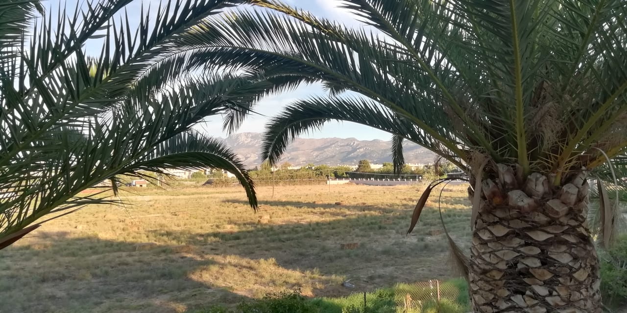 Ausblick Smy Kos Beach & Splash