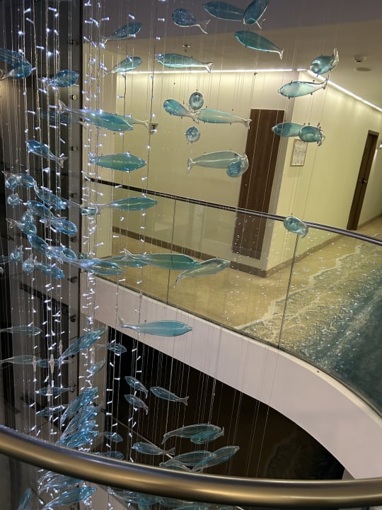 Sonstiges Sentido Marea