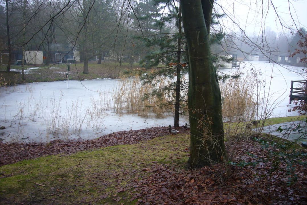 Terrasse Ausblick Center Parcs De Eemhof