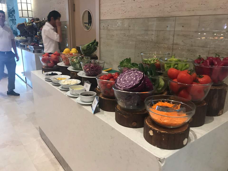 Gastro Acanthus Cennet Barut Collection