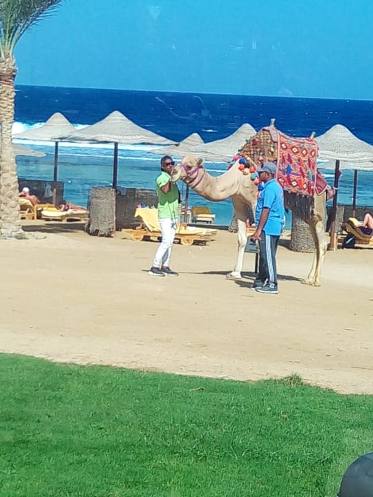 Strand Three Corners Sea Beach Resort