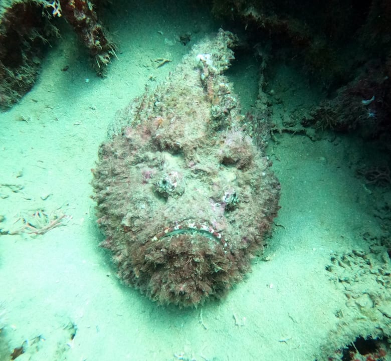 Sport & Freziet Brayka Bay Resort