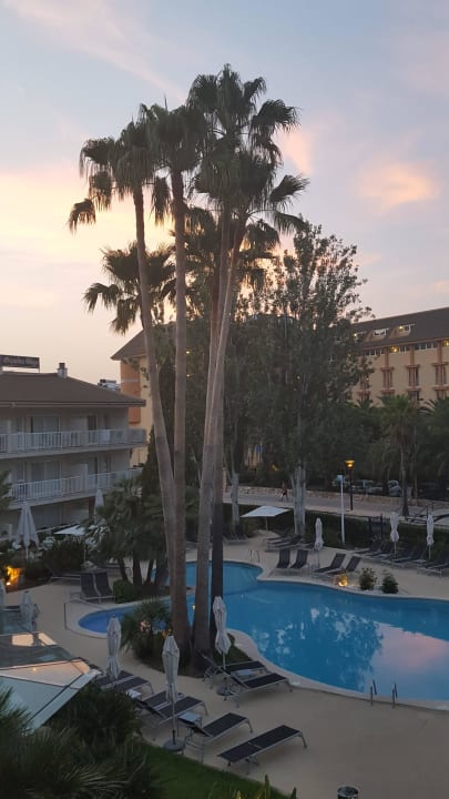 Poolbereich allsun App.-Hotel Orquidea Playa