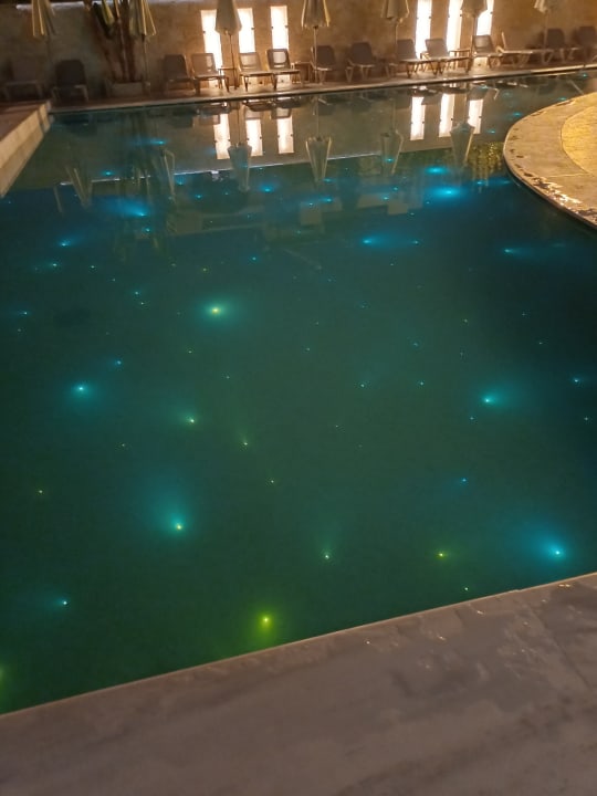 Pool Cactus Beach