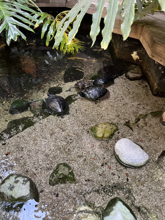 Sonstiges Lopesan Baobab Resort