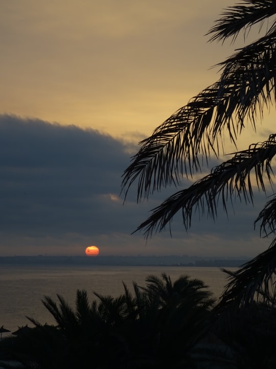 Ausblick Hotel Neptunia Skanes