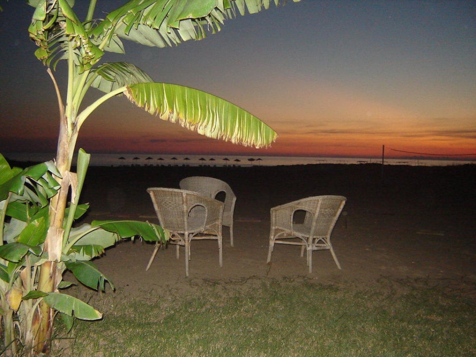 Karibik-Flair Skys Hotel