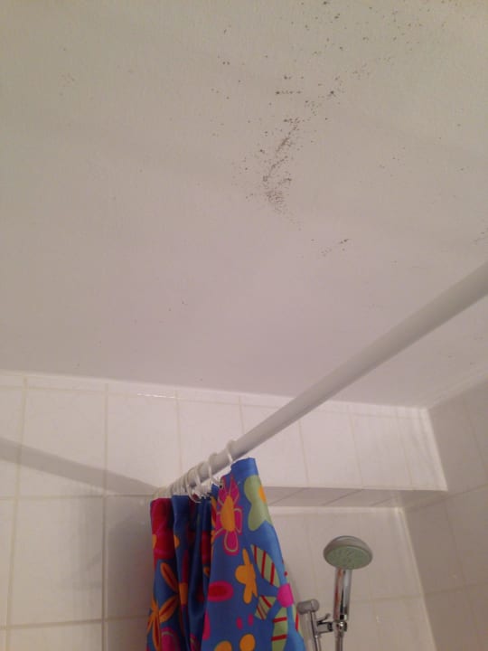 Schimmel an Decke  carathotel München City