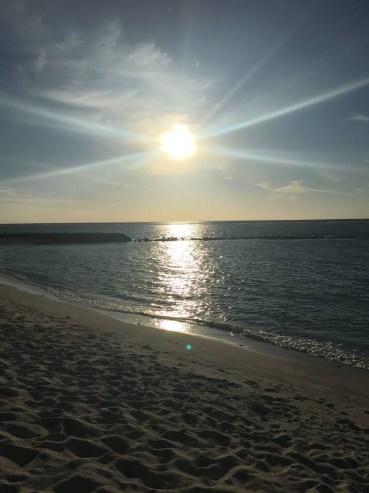 Strand Sonnenuntergang Summer Island Maldives