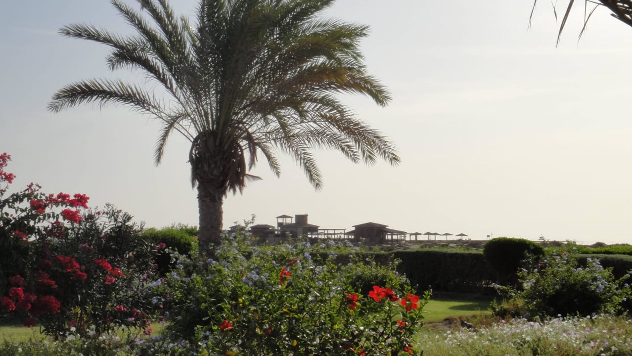 Im Hintergrund der Nordstrand Lahami Bay Beach Resort