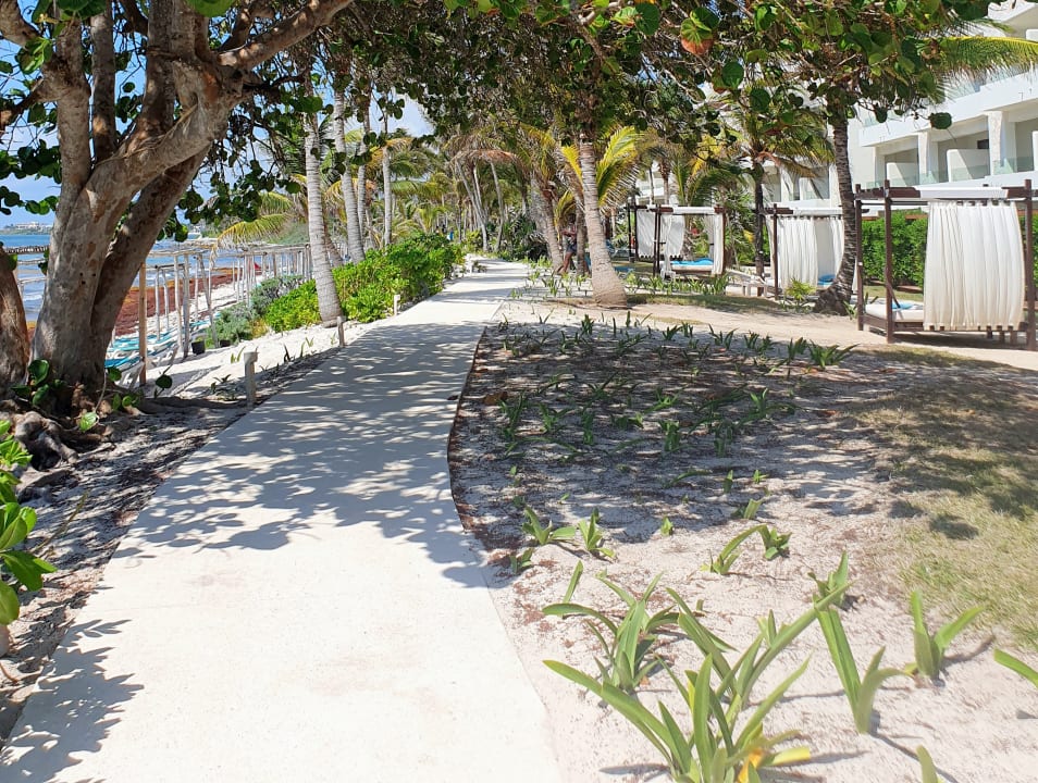 Gartenanlage Akumal Bay Beach & Wellness Resort