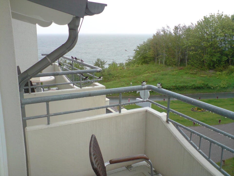 Schöne Aussicht Hotel Bernstein Rügen