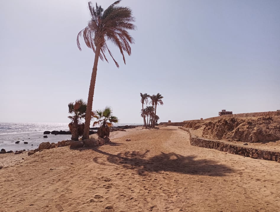 Strand Pickalbatros Citadel Resort