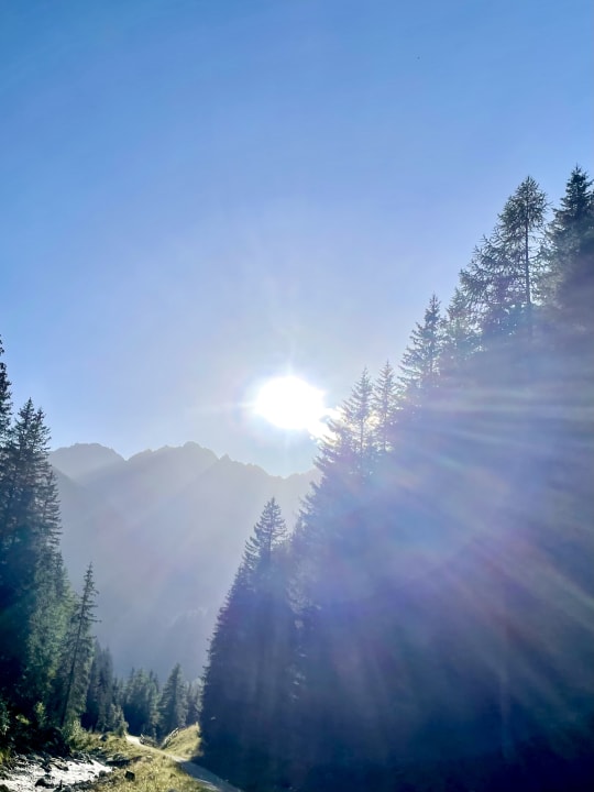 Ausblick Hotel Milla Montis