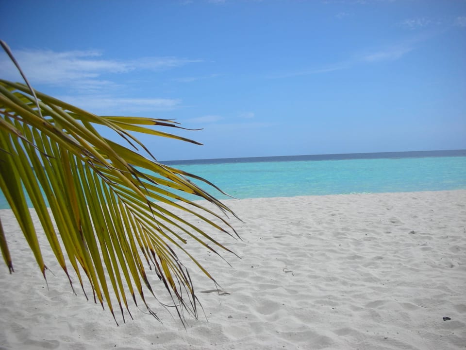 - Biyadhoo Island Resort