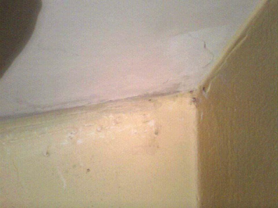 Wasserschaden Bad Zimmer 12, andere Ecke Hotel Rydl