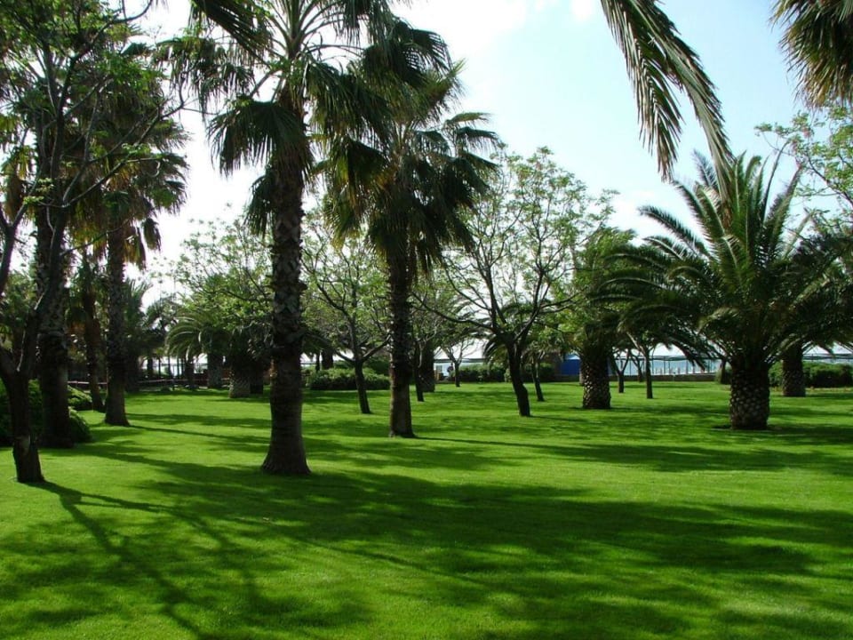Gartenanlage TUI Magic Life Belek