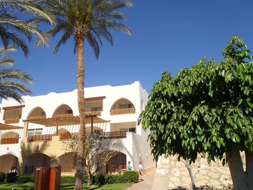 Rechtsoben wahr unsere Zimmer 801 Pickalbatros Royal Grand Resort - Sharm El Sheikh