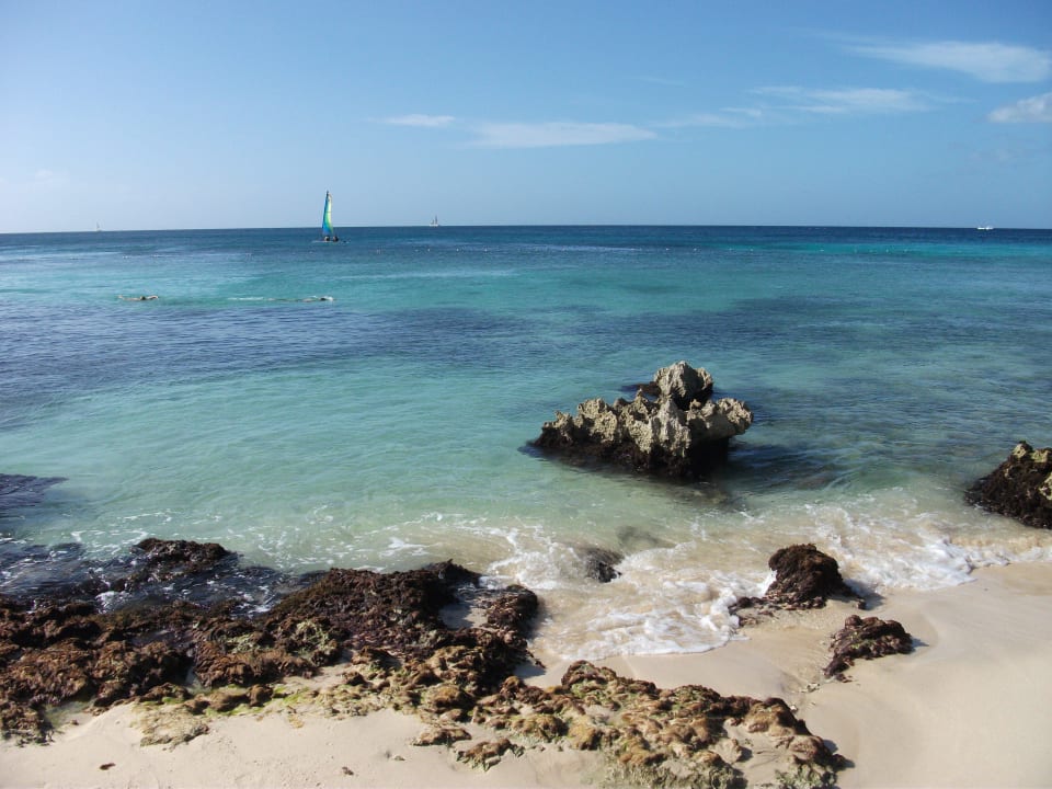 Wunderschönes Meer Hotel Viva Dominicus Palace by Wyndham-All Inclusive Resort