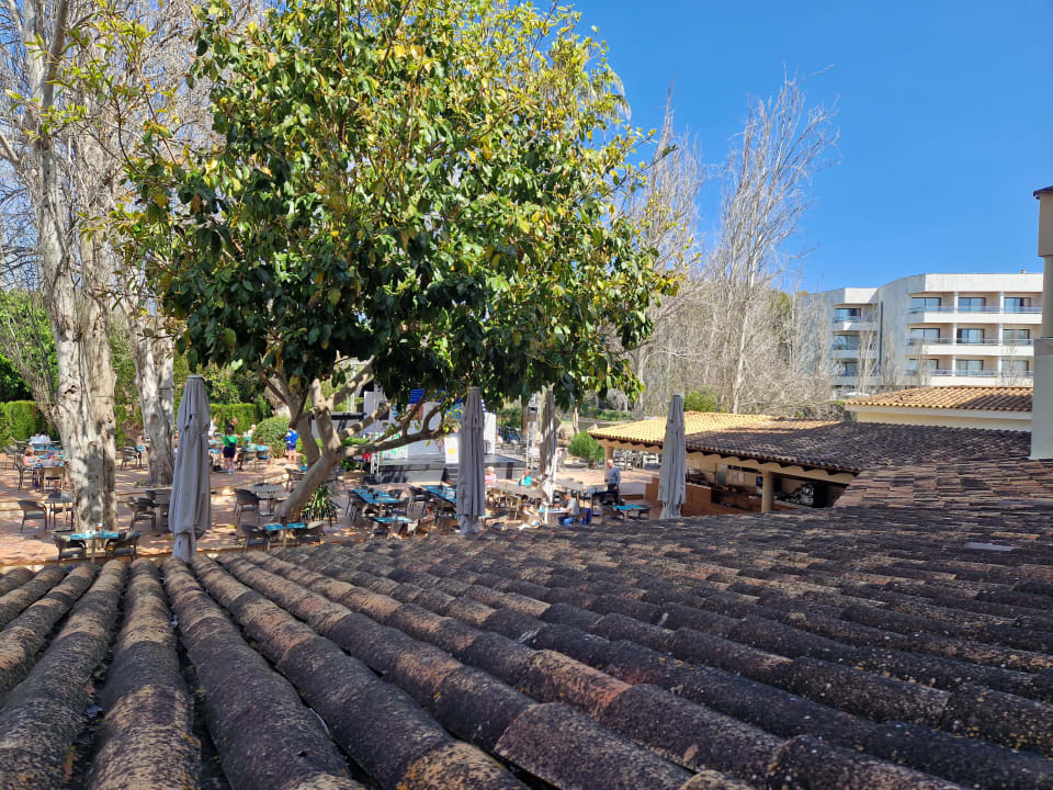 Gartenanlage allsun Hotel Lago Playa Park