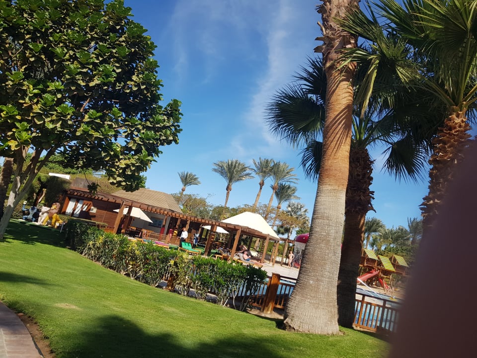 Gartenanlage Steigenberger ALDAU Beach Hotel