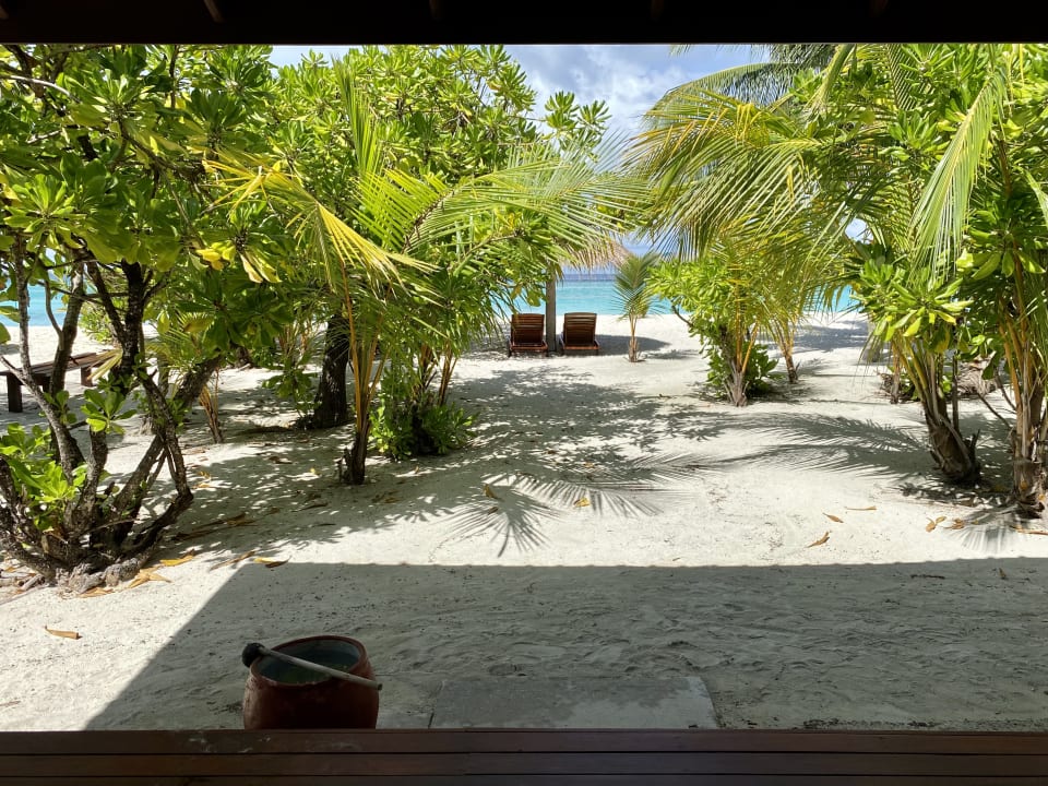 Zimmer Filitheyo Island Resort