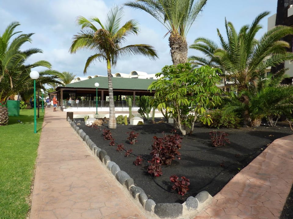 Weg zum Pool SBH Hotel Royal Monica