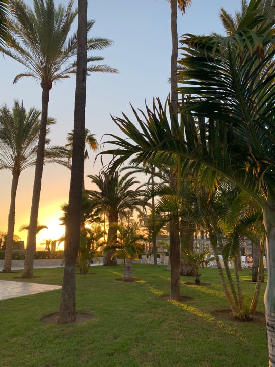 Gartenanlage Hotel Riu Palace Meloneras