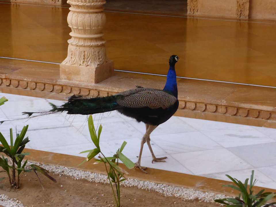 Sonstiges Hotel Suryagarh