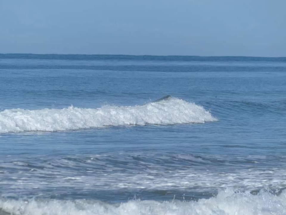 Wellen Sunis Kumköy Beach Resort Hotel & Spa