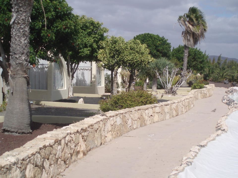 Vorgärten der Suiten Hotel LIVVO Risco del Gato Suite