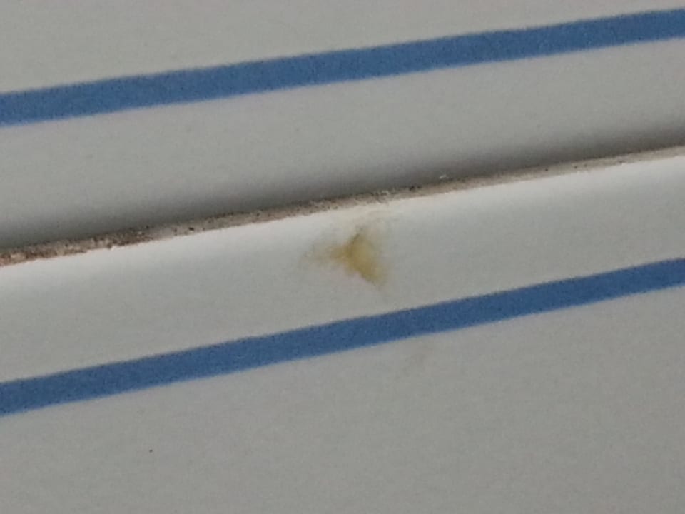 Popel (?) an Fliese im Bad, neben dem Spiegel Aparthotel Costa Mar