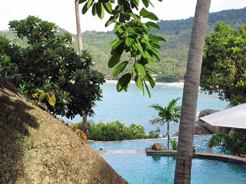Pool Panviman Resort Koh Phangan