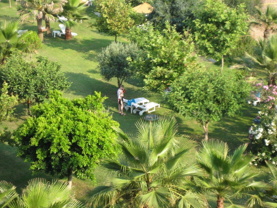 Der schattenspendende Garten Hotel Defne Dream