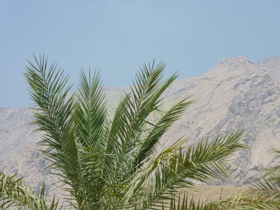 SIX Senses Six Senses Spa At Zighy Bay