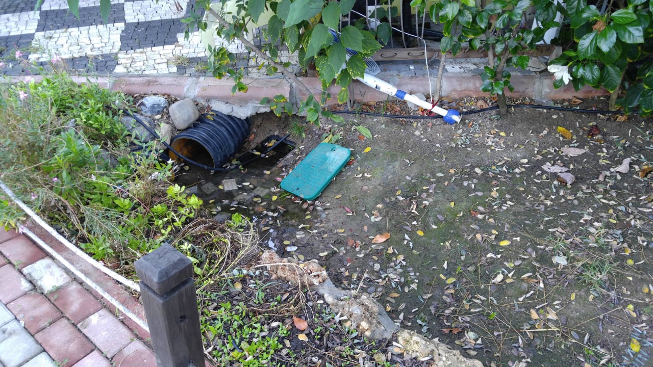 Kleine Gefahren. Ungepflegt Seaden Sea World Resort & Spa