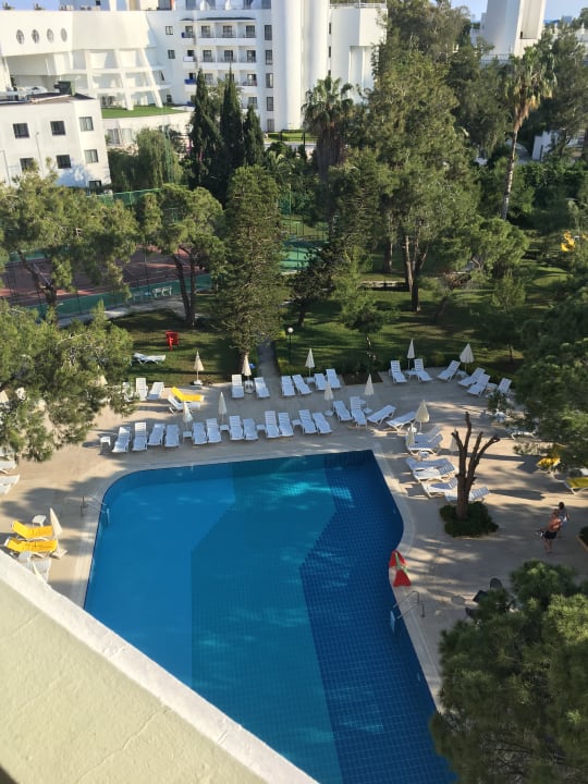 Pool Asteria Collection Side