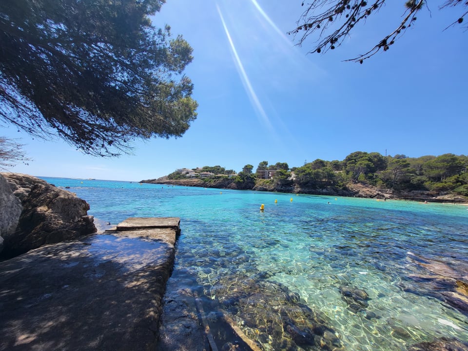 Ausblick Iberostar Waves Pinos Park