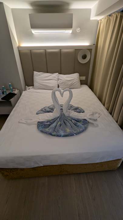 Zimmer Dream Water World